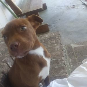 Meet your Posher, Bryant